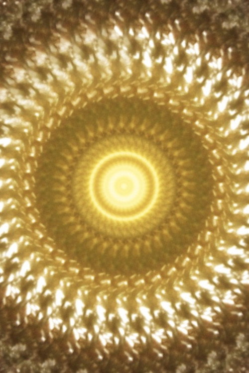 First Light poster