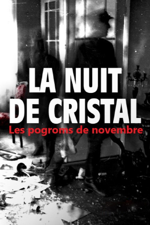 La Nuit de cristal : Les pogroms de novembre poster