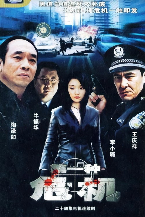 第一种危机 poster