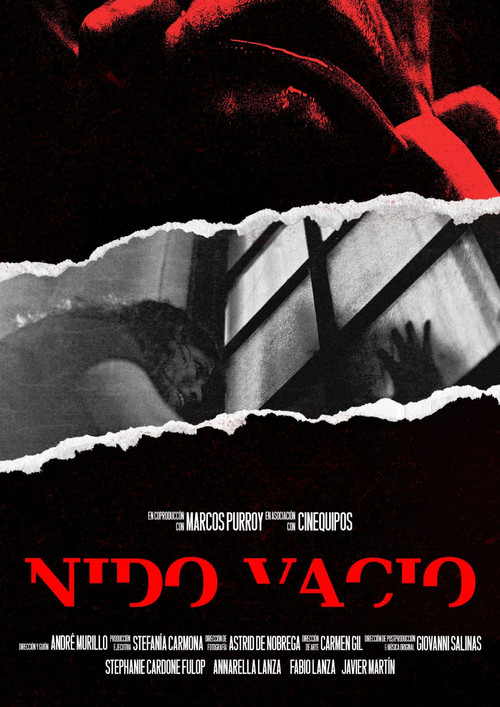 Empty Nest poster
