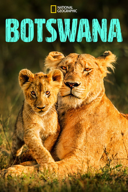 Botswana poster