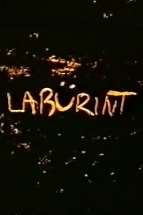 Labyrinth poster