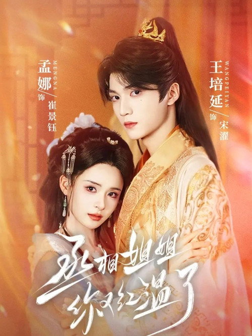 丞相姐姐你又红温了 poster