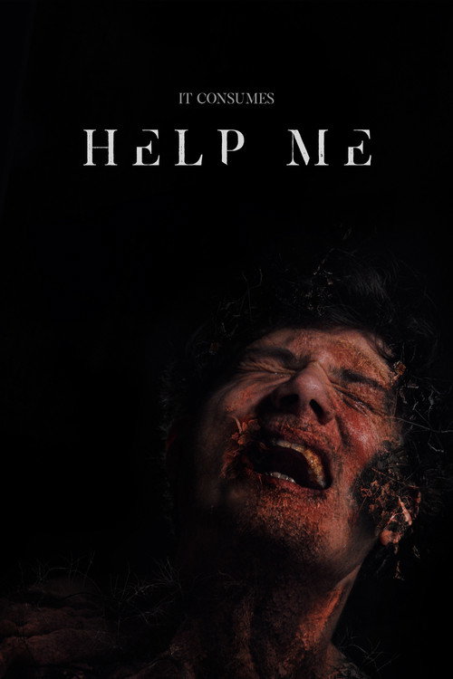 Help Me poster