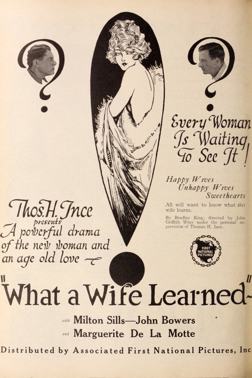 What a Wife Learned poster