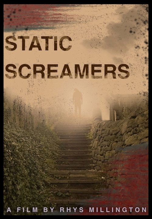 STATIC SCREAMERS poster