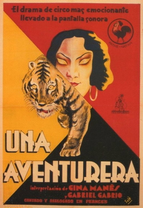 A Beautiful Woman poster