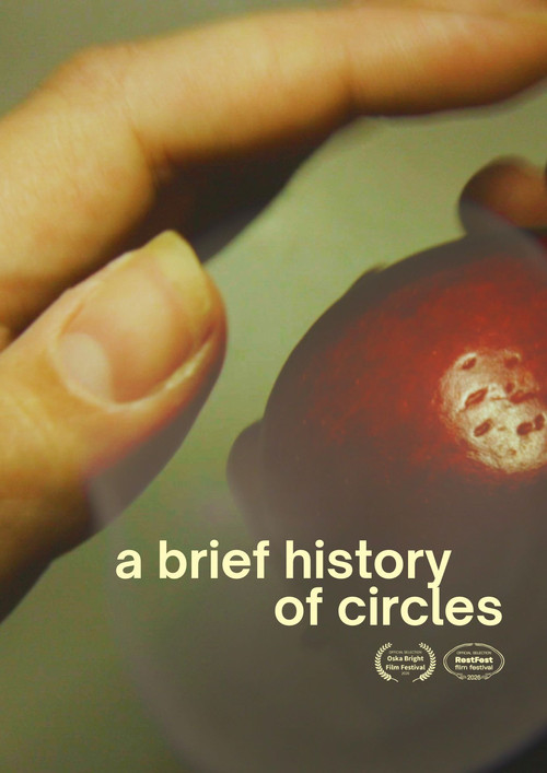 A Brief History of Circles poster