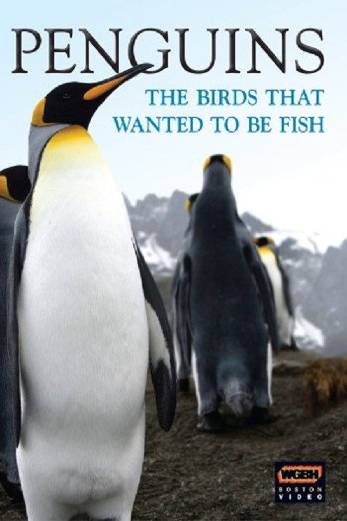 Penguins: The Story of the Bird that wanted to be Fish poster