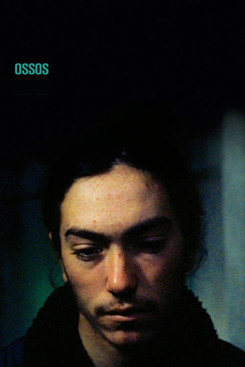 Ossos poster