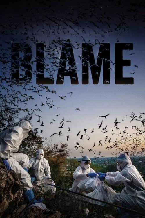 Blame poster