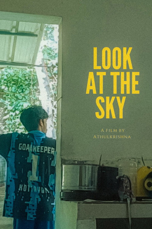 Look at the Sky poster
