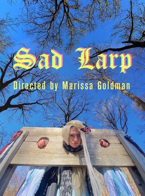 Sad LARP poster