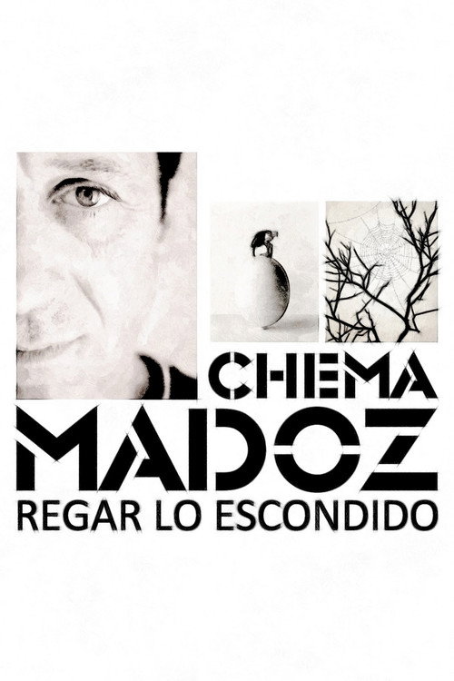 Chema Madoz: regar lo escondido poster