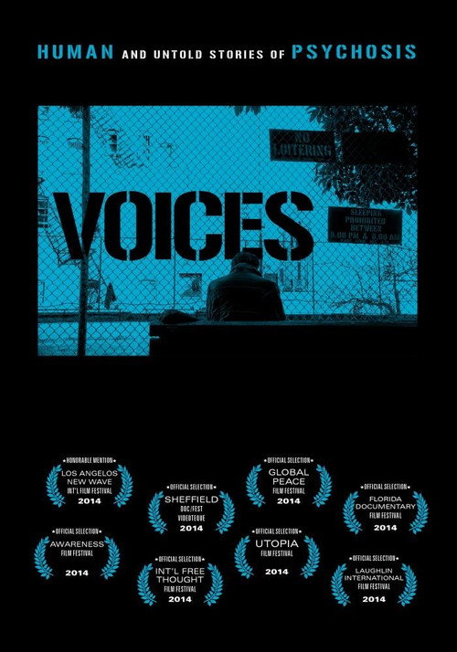 Voices poster