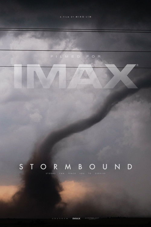 Stormbound poster