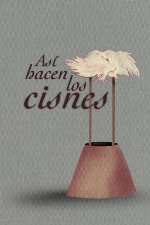 Así hacen los cisnes poster
