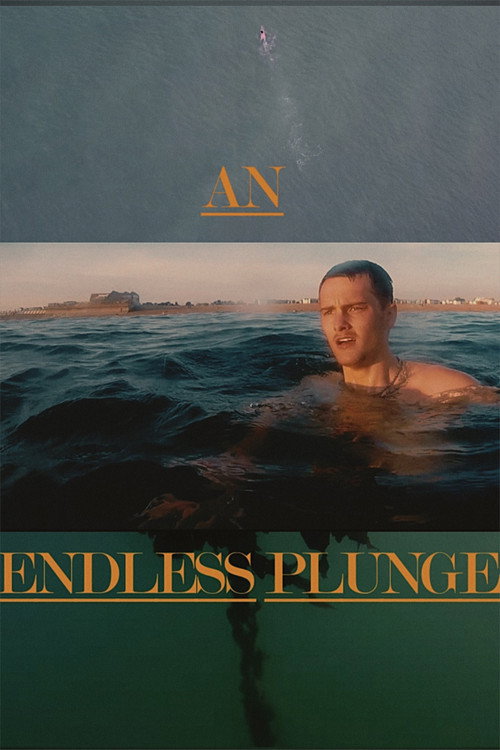 An Endless Plunge poster