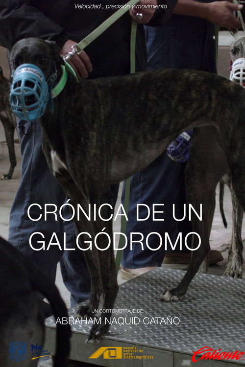 Crónica de un galgódromo poster