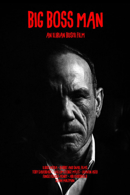 BIG BOSS MAN poster