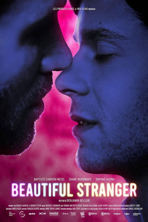 Beautiful Stranger poster