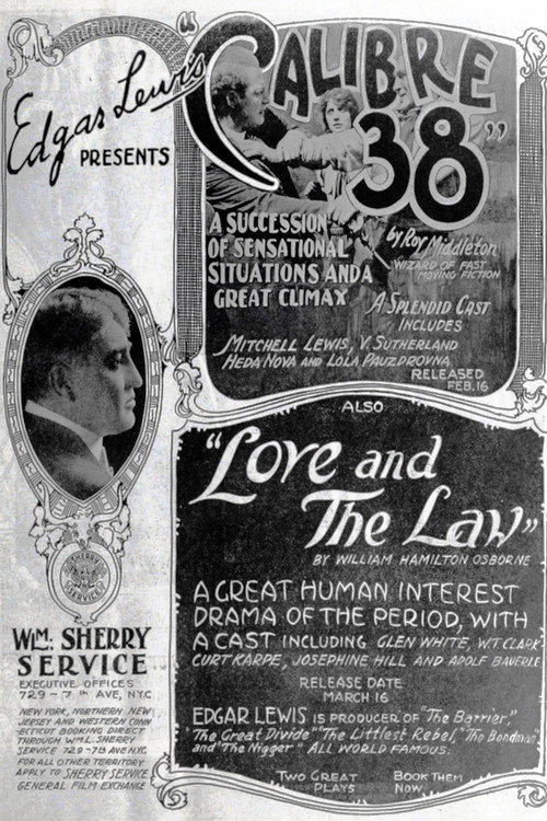 Calibre 38 poster