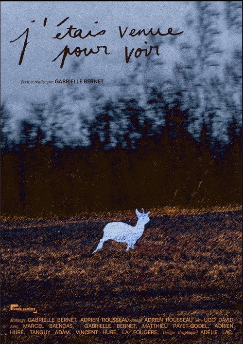 I Came to See poster