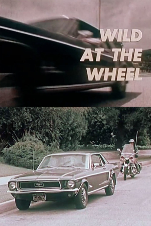 Wild at the Wheel poster
