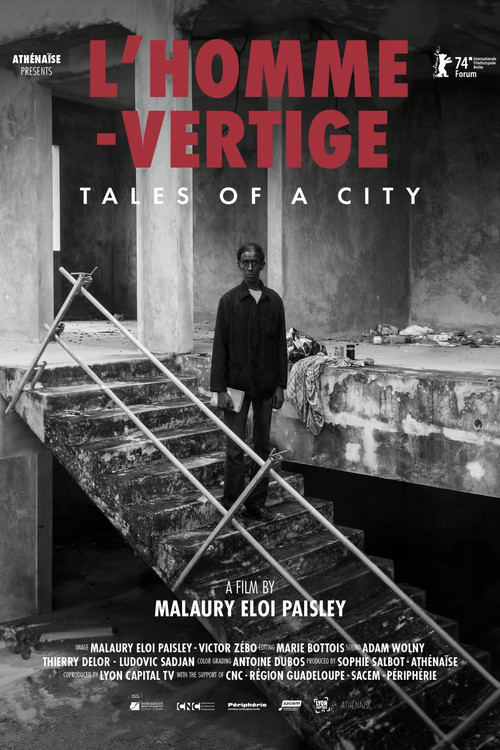 L’homme-vertige: Tales of a City poster