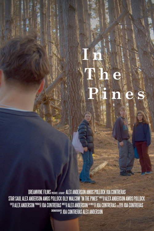 In The Pines poster