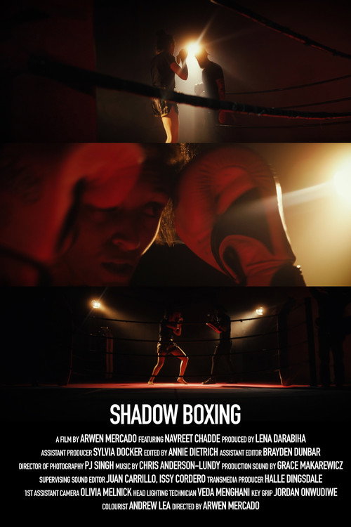 Shadow Boxing poster