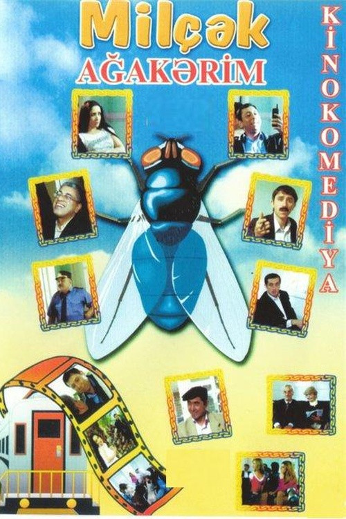 Fly poster