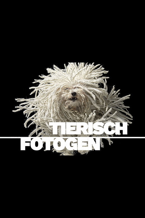 Animal Art: Photogenic Creatures poster
