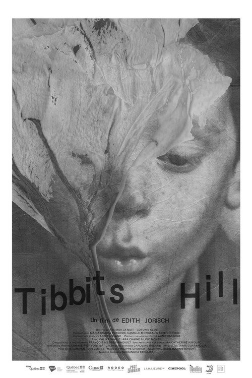 Tibbits Hill poster