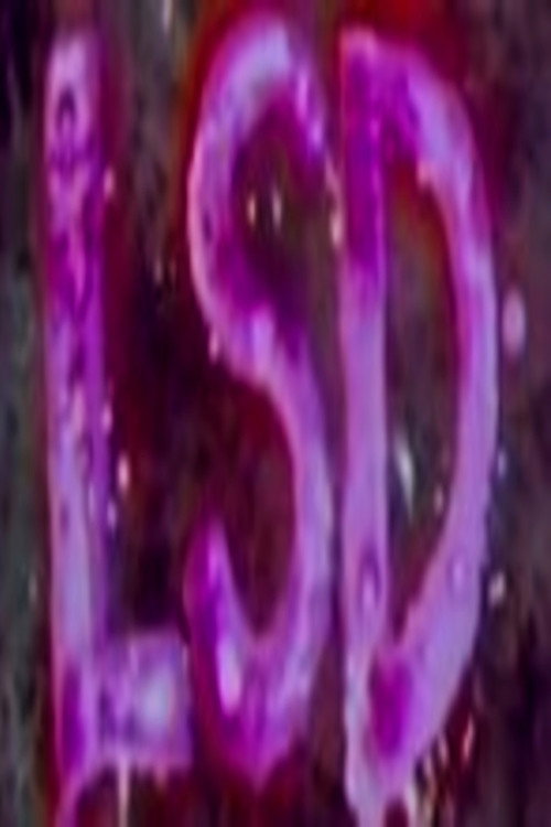 LSD poster