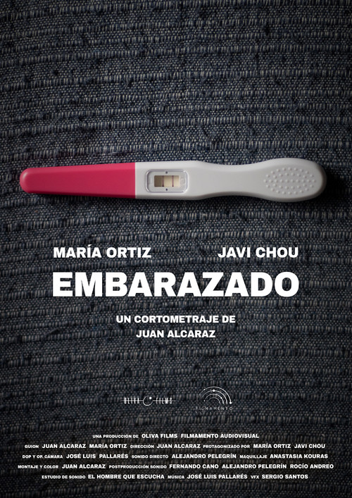 Embarazado poster