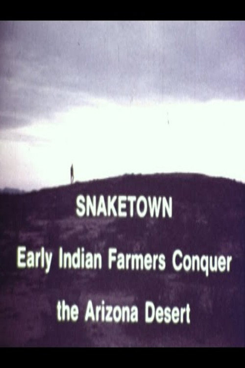 Snaketown- Early Indian Farmers Conquer the Arizona Desert poster