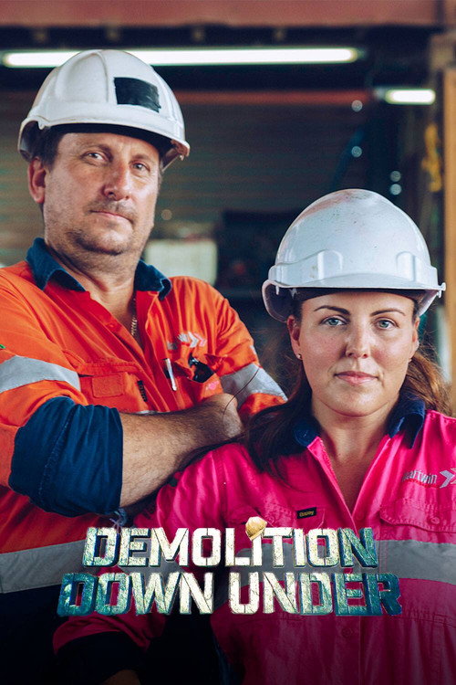 Méga démolition poster