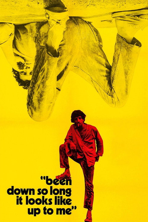 Been Down So Long It Looks Like Up to Me poster