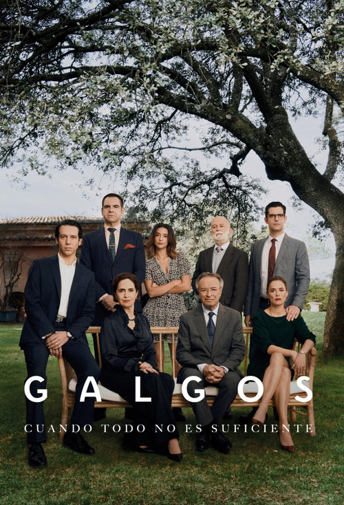 Galgos poster