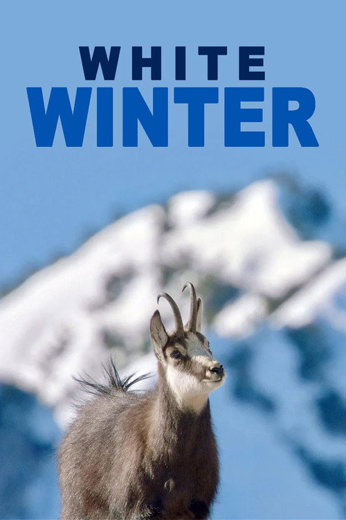 White Winter poster