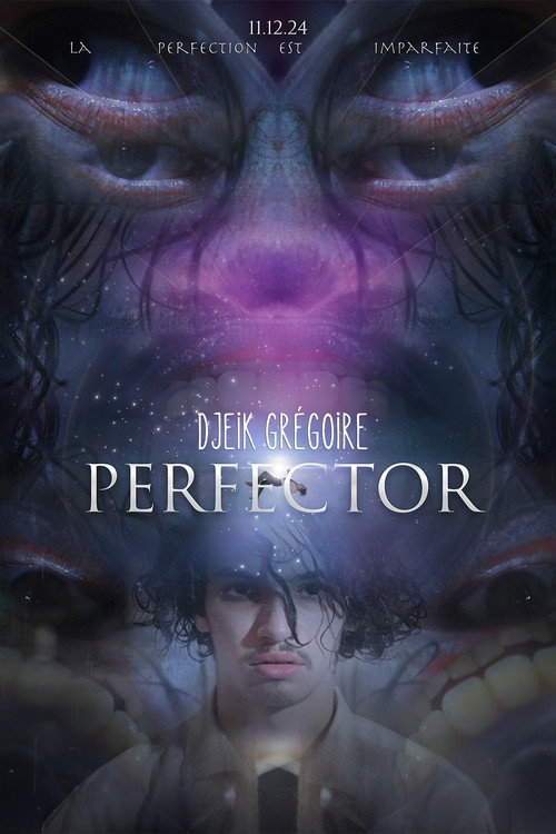 Perfector: Every Day Is The Same poster