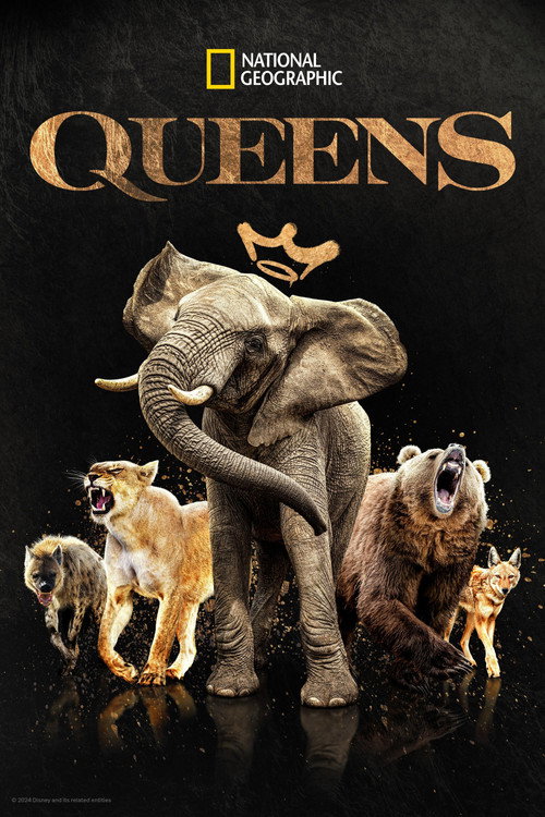 Queens poster