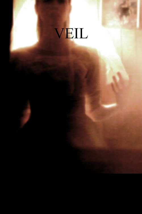 Veil poster
