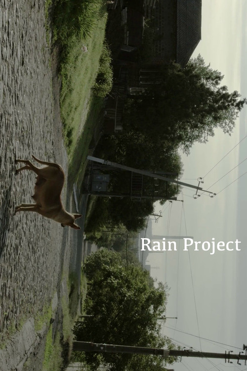 Rain Project poster