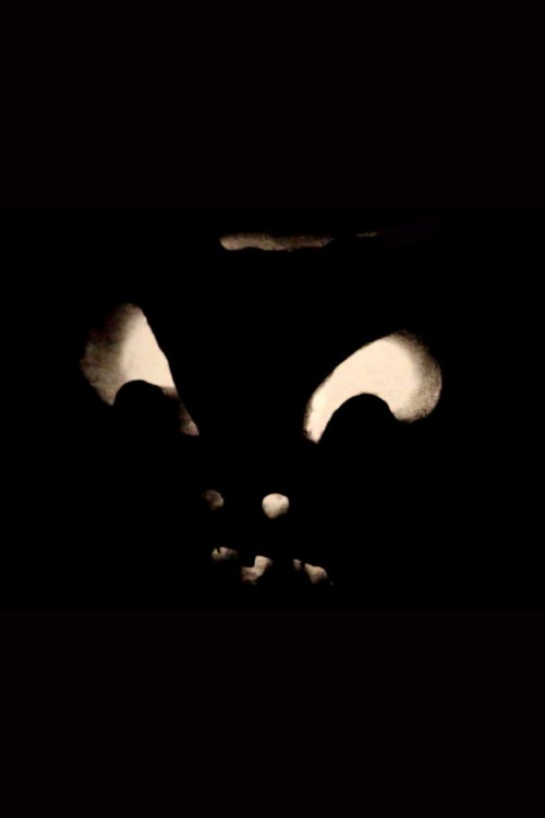 Jack-O-Lanterns poster