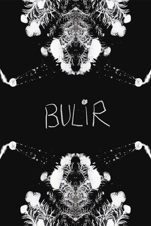 BULIR poster