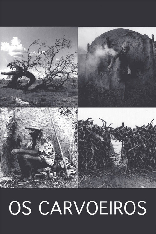 The Charcoal People poster