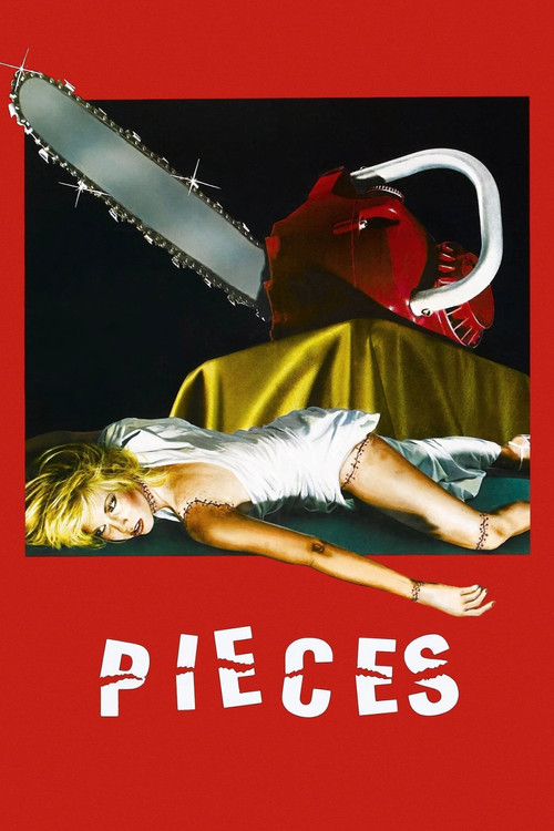 Pieces poster