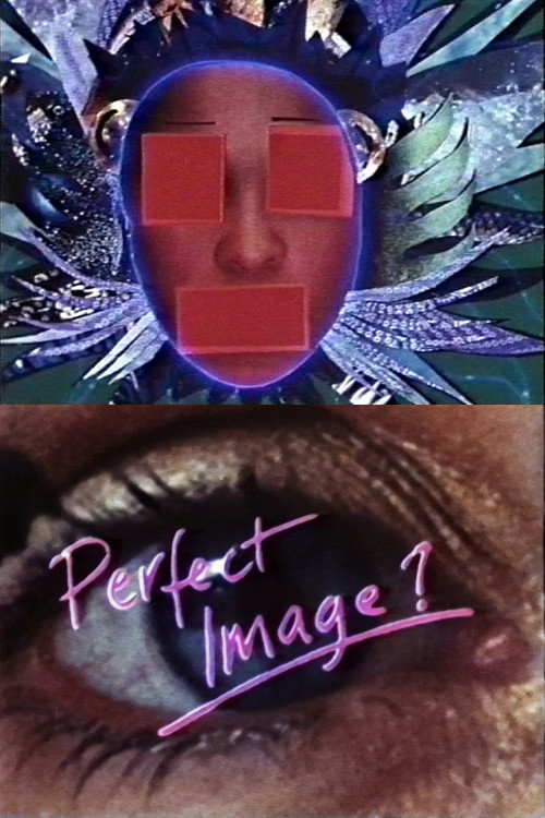Perfect Image? poster